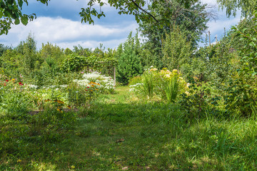 Obraz premium Beautiful summer garden, landscape