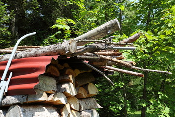 Stacks of wood for fire, in the woods of Trentino Alto Adige