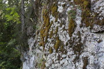 Fototapeta na wymiar Rocky walls in the Alps of Trentino Alto Adige, in northern Italy