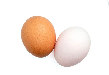 Duck eggs with brown chicken eggs