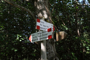 Signs with directions for high mountain trails in Trentino Alto Adige, Italy