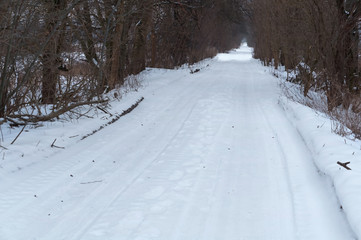 Fototapeta premium Forest road in winter. Snow-covered road in the forest.