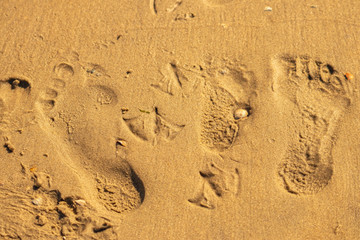 Fußspuren im Sand am Strand, Familie mit Kind Urlaub Reisen