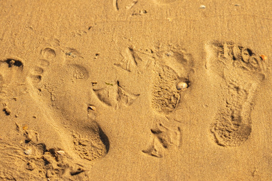 Fu&szlig;spuren im Sand am Strand, Familie mit Kind Urlaub Reisen