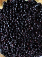 Delicious fresh blueberry pie on wooden table