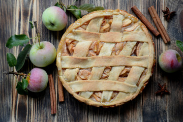 Homemade delicious Apple pie on wooden background Autumn baking 