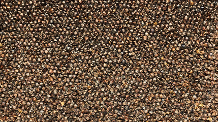 Rough unshelled buckwheat groats textured background pattern for your design, flat lay, from above overhead top view, closeup, macro