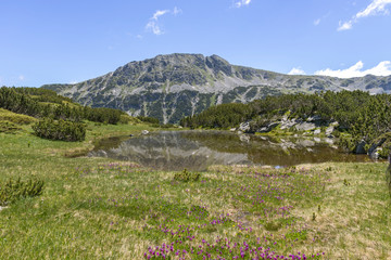 Landscape near The Fish Lakes, Rila mountain, Bulgaria