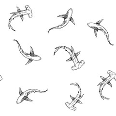 Seamless pattern with hand drawn illustrations of shark. Vector with transparent background