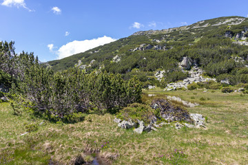 Landscape near The Fish Lakes, Rila mountain, Bulgaria