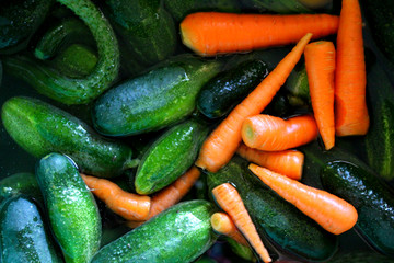 Cucumbers,tomatoes, carrots in the water. My vegetables for preparation of preparations, pickles and food.