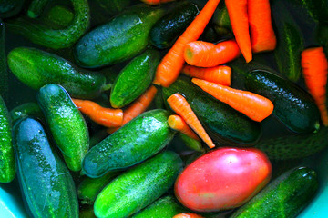 Cucumbers,tomatoes, carrots in the water. My vegetables for preparation of preparations, pickles and food.