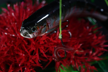 Artificial lures made of metal and  plastic bites on artificial bait for Fried fish