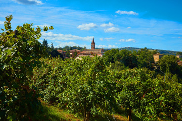 beautiful landscape, built in the province of Modena ITALY in the hills of Castelvetro / Levizzano, where the famous Lambrusco Grasparossa is produced