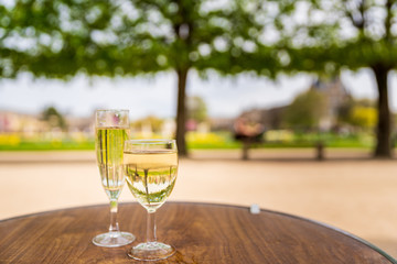Afternoon Wine in the Jardin Tuileries