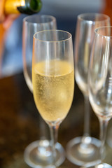 A Krug Champagne Toast