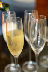 A Krug Champagne Toast