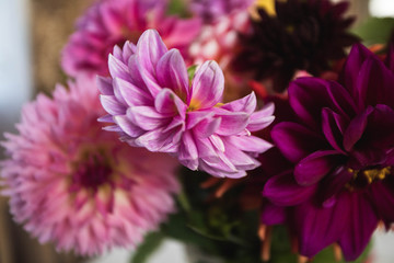 Autumnal Flowers