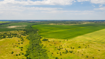 Beautiful top view of Ukrainian landscape. Natural background on a sunny day. Photo of the countryside.