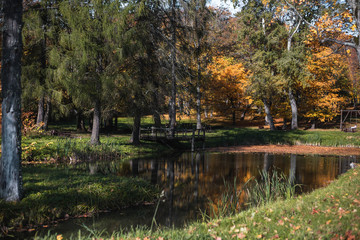 Fototapeta premium Autumn Nature