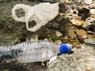 Close-up of waste plastic bottle in puddle