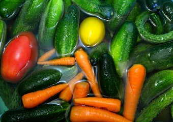 cucumbers, tomatoes, carrots in the water.