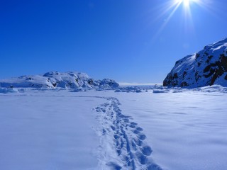 Gr&ouml;nland - Spuren im Schnee