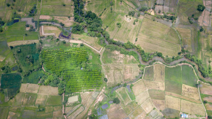  Aerial view, agricultural area, rice growing area in northeastern Thailand