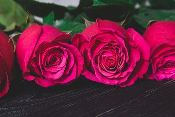 fresh dark red roses close up with dark green leaves lying on black wooden background with copy space