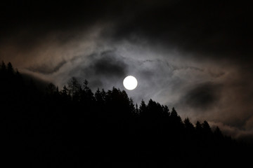Fototapeta na wymiar Full Moon in cloudy sky with trees