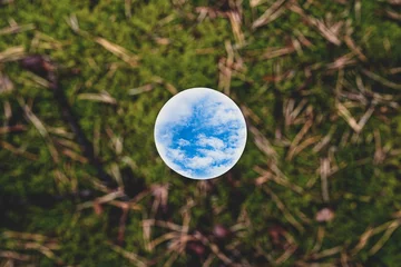 Blick durch Glas © Elybi