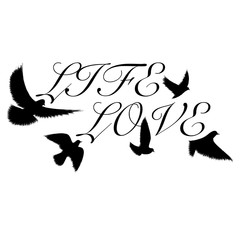 Different birds black silhouette with sample text
