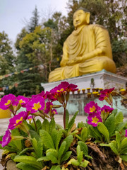 Purple flowers and Giant statue of Gautama Buddha in the backdrop. Buddhist religion.