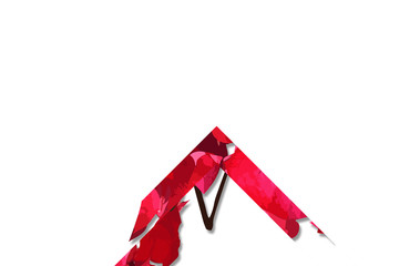 leaf illustrations, in full color, for templates and backgrounds, and covers. for design elements