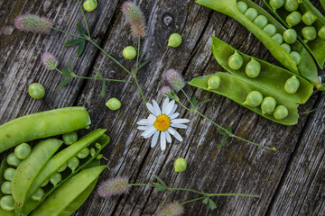 Green pea pods on an old wooden table