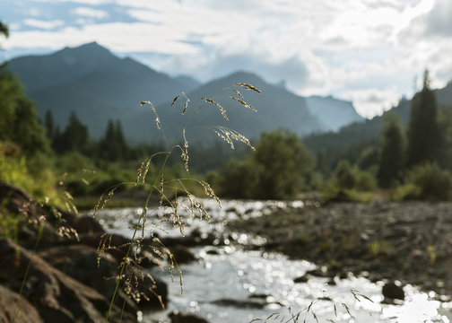 Berglandschaft mit Wildflu&szlig;