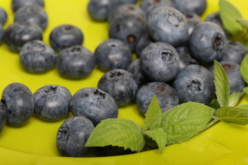 Fresh blueberries on a light green tray. Decorated with mint leaves.