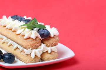 Cakes made from Italian savoyardi cookies and cream. Decorated with blueberries and mint leaves. Against the background of coral color.