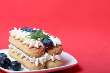 Cakes made from Italian savoyardi cookies and cream. Decorated with blueberries and mint leaves. Against the background of coral color.