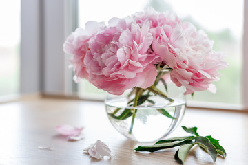 Still life with beautiful pink peonies in glass vase