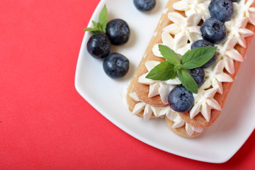 Cakes made from Italian savoyardi cookies and cream. Decorated with blueberries and mint leaves. Against the background of coral color. View from above.