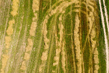 farm field, view from above