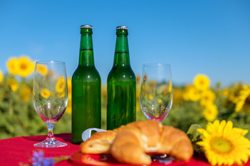 A table in blooming sunflower field is set for a picnic. On it are croissant and beer bottles and...