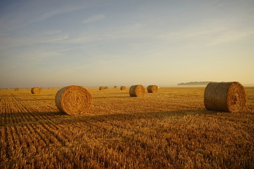 Paysage Campagne 564