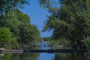 lake in the park