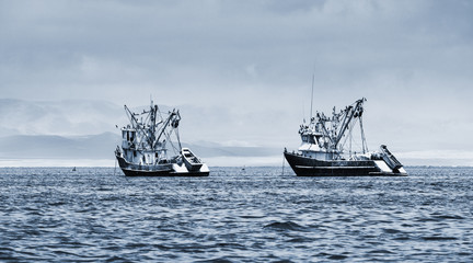fishing boats in the bay © terex