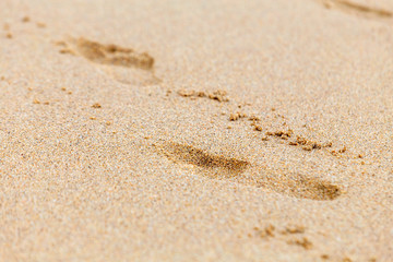 Footprints of a man walking on the wet sand of a beach.
