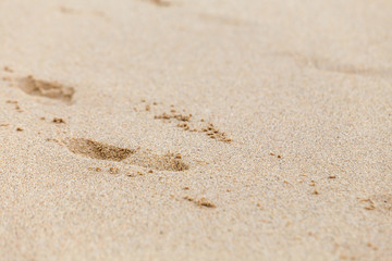 Fototapeta na wymiar Footprints of a man walking on the wet sand of a beach.