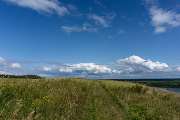 Summer field