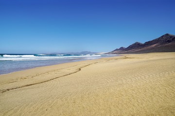 Küste | Strand | Fuerteventura